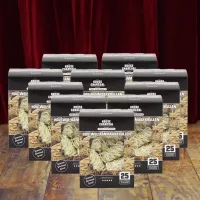 10 doosjes houtwol aanmaakkrullen