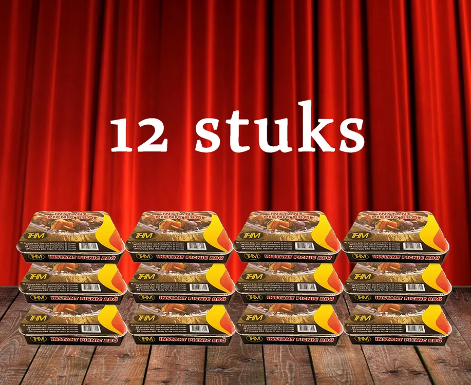 12-stuks-instant-picnic-wegwerp-bbq