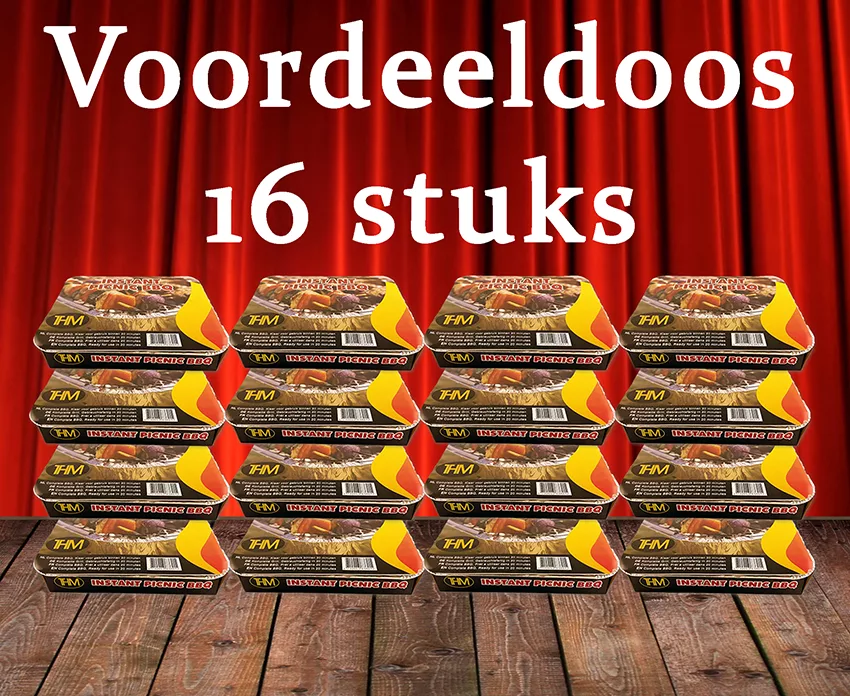 THM Instant Picnic BBQ voordeeldoos 16 stuks – complete wegwerpbarbecues met houtskool voor buitengebruik
