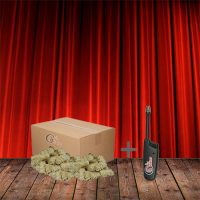 Voordeeldoos Houtwol Aanmaakkrullen 260 stuks – 3 kg FSC® met gratis uittrekbare BBQ-aansteker, natuurlijke aanmakers voor haard, kachel en barbecue